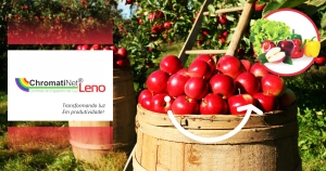 ChromatiNet&reg; Leno